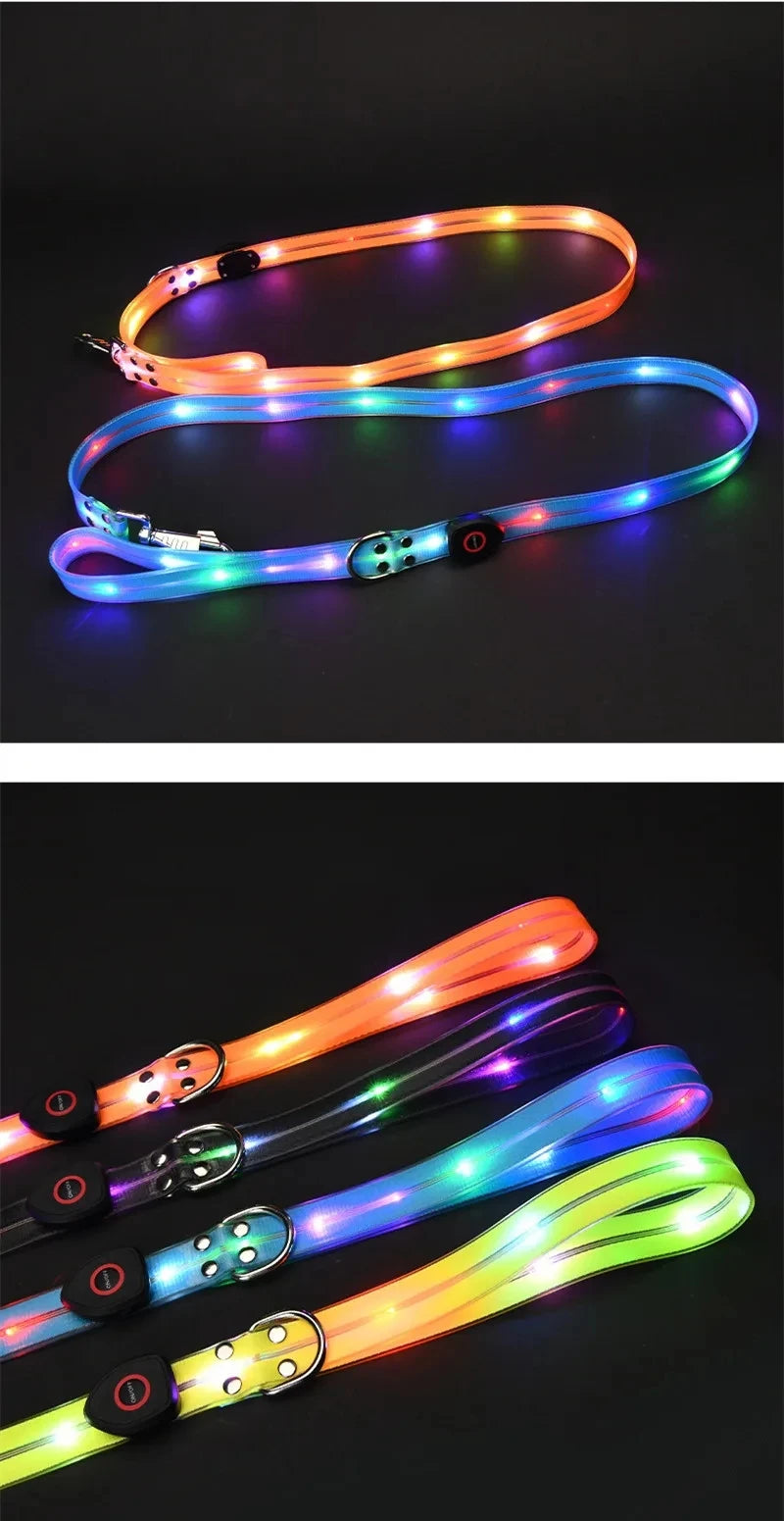Pet Light-up Collar Leash LED Flashing Collar USB Charging Dog Walking Pulling Belt Adjustable Dog Collar Anti-Lost Pet Supplies