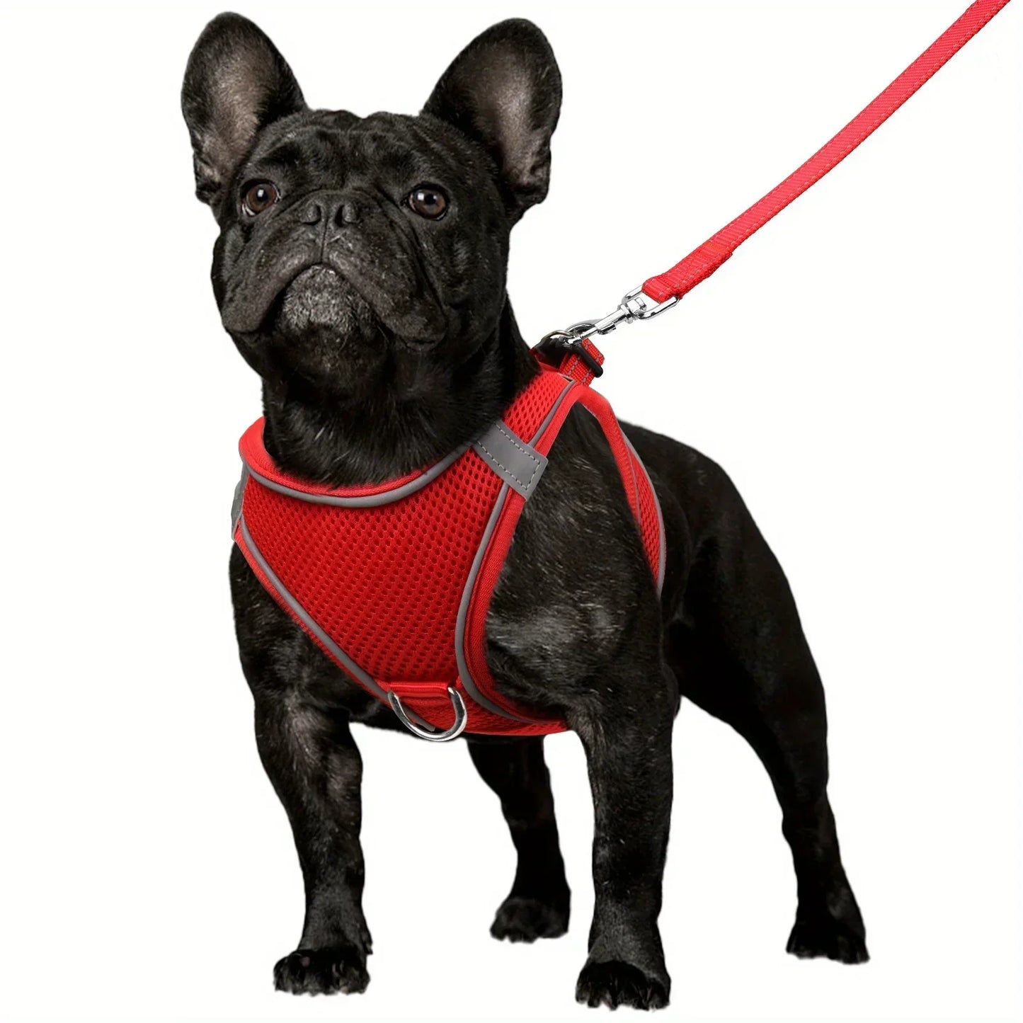 Ultimate Comfort Reflective Step-In Dog Harness and Leash Set - Soft Padded Breathable Mesh Vest,Ensure Safe Walking