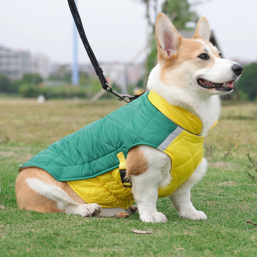 New Winter Pet Dog Clothes Thickened Fighting Dog Clothes Reflective Dog Cotton Clothes Pet Clothes