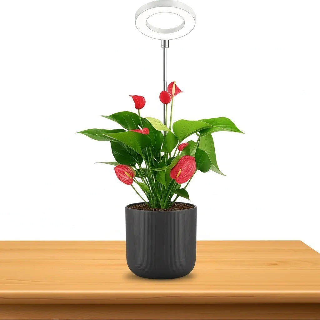 LED Grow Light USB 5V Full Spectrum Plant Growing Lamp Indoor Plants Seedlings Succulents Timer Dimmable Brightness Plant