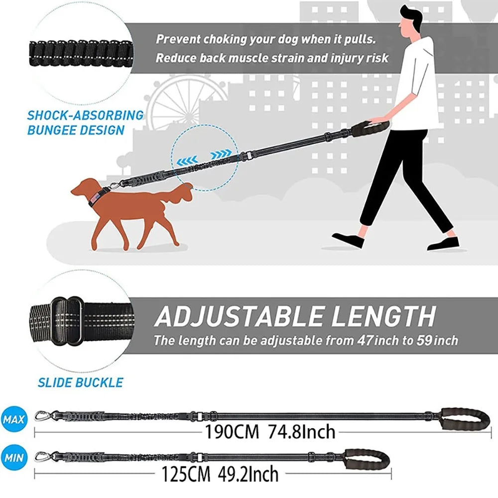 Heavy-Duty Bungee Dog Leash 4-in-1 Multifunctional Training Leash with Car Seat Belt,Dog Accessory, Dog Leash For Medium Dog