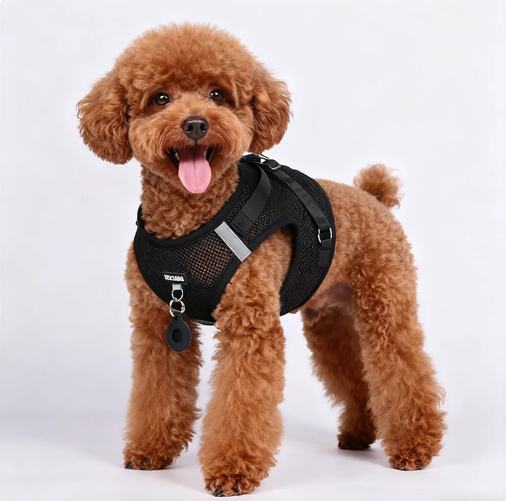 Dog Harness Vest, Soft Vest Harness Step-in No Choke No Pull Walking Training for Small and Medium Dog