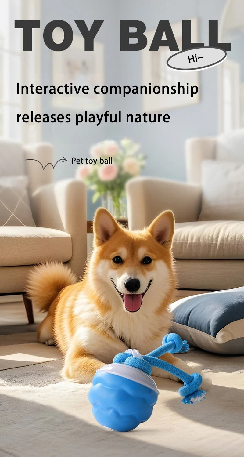 Smart Dog Toy Ball Electronic Interactive Pet Toy Moving Ball Rope USB Automatic Moving Bouncing for Puppy Chew Products