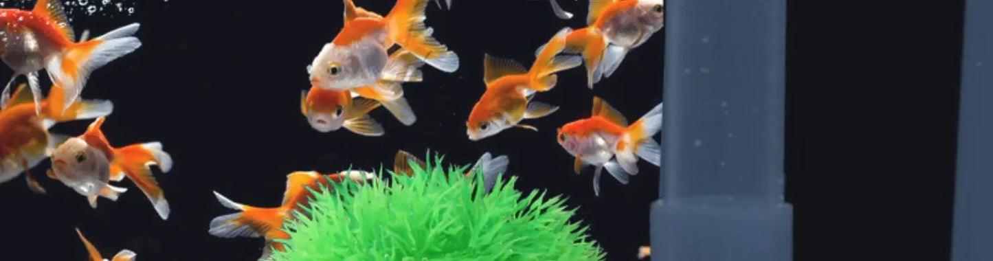 220V SOBO fish tank filter wall-mounted filter barrel three-in-one external filter small grass tank external circulation pump