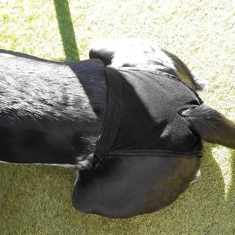 Female Pet Dog Sanitary Pants with 3 Diapers Dog Physiological Pants Menstrual Period Underwear Briefs Easy To Wear