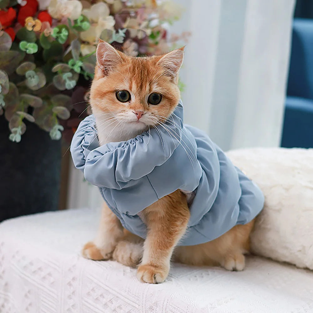 Winter Padded Dog Coat Jacket For Small Medium Dogs Soft Warm Dog Clothes Cute Puppy Vest Pet Outfit
