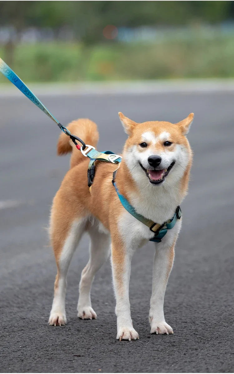 Adjustable Nylon Dog Harness Fashion Chest Vest No Pull Pet Puppy Harness for Small Medium Large Dogs Corgi Dog Supplies