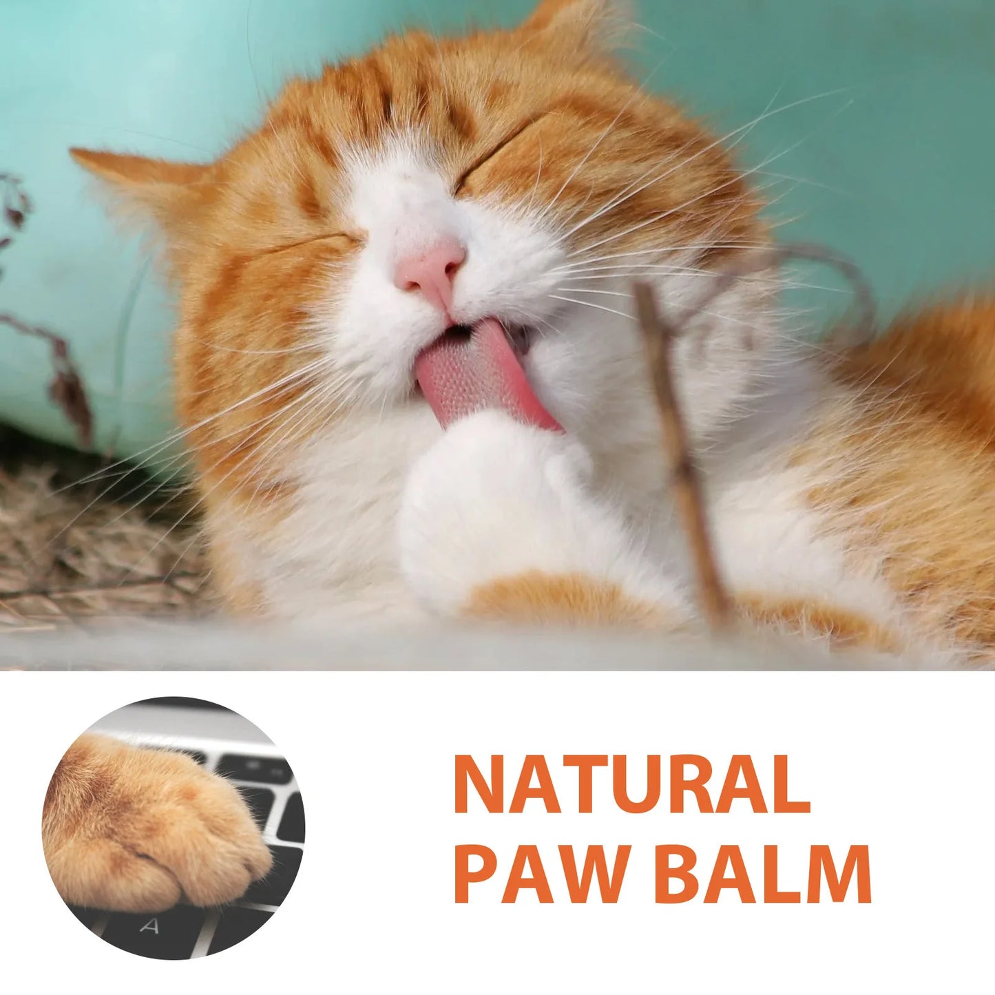 YEGBONG 30g Pet Paw Care Cream Foot Pad Protection Oil for Cats And Dogs Dog Paw Balm Cat Paw Protective Cream Canine Foot Care