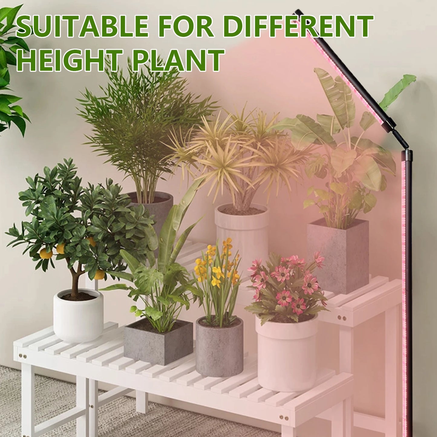 24V 80INCH Indoor Plant Growth Lamp Full Spectrum Seed Plant Lamp with Timer and Three Color Dimmable Floor Plant Growth Lamp