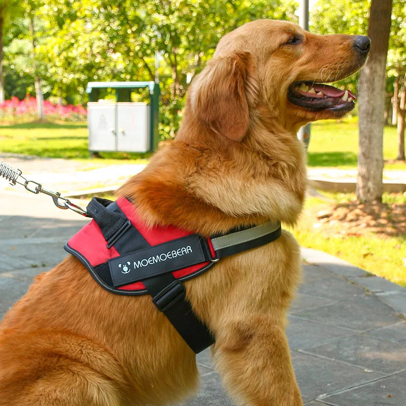 K9 Tactical Dog Harness and Leash Anti-Pull for Golden Retriever Pomeranian Adjustable Pet Walking Rope for Large Dogs