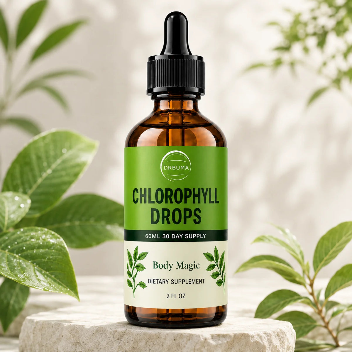 Premium Liquid Chlorophyll Supplement, Mint Flavor, Natural Complex, Easy to Take, 2 Fluid Ounces Per Bottle