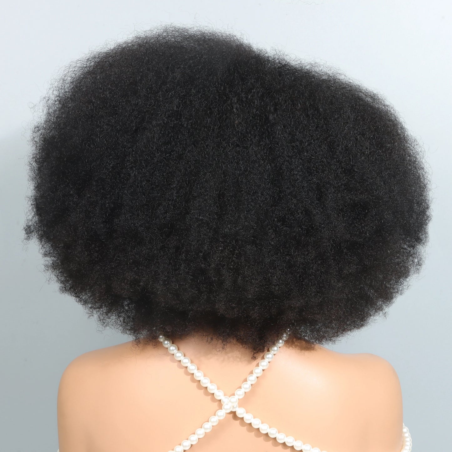 13x5x2 Side T Part Lace Wigs Afro Kinky Curly Short Bob Wig Human Hair Wigs 14 Inch Short Curly Afro Wigs for Woman 250 Density