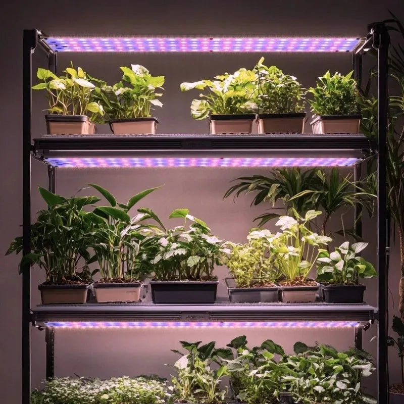 LED Plant Grow Light Quantum Board Full Spectrum USB Panel Lamp for Indoor Greenhouse Nursery Hydroponic Succulent Seedling Use