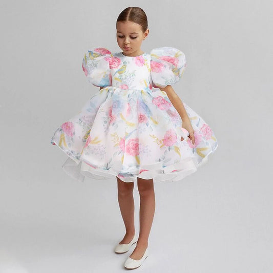2 3 4 5 6 7 8 Years Puffy Sleeve Girls Dress Summer Princess Baby Dress Christmas New Costume Birthday Party Gift Kids Clothes