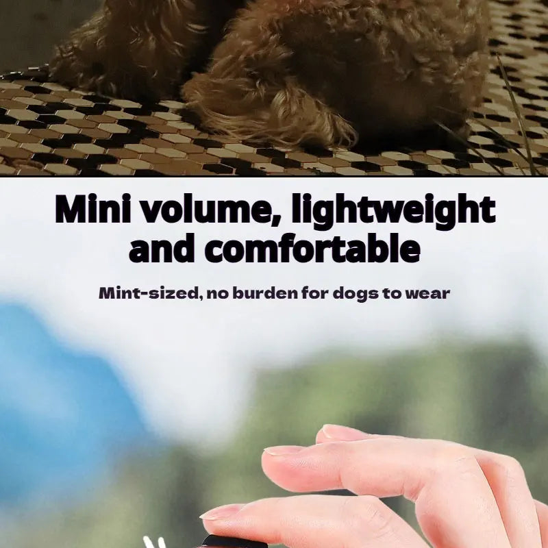 1pc Pet Luminous Pendant, Dog LED Walking Pet Cat Glowing Pendant Safety Luminous Collar Dog USB Rechargeable 3 Modes Flashlight