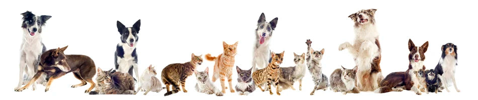 Sucado Handsome Wedding Pet Dog Bandana Elegant Suit Bowtie Luxury Triangular Scarf Collar Engagement Party Gifts Accessories