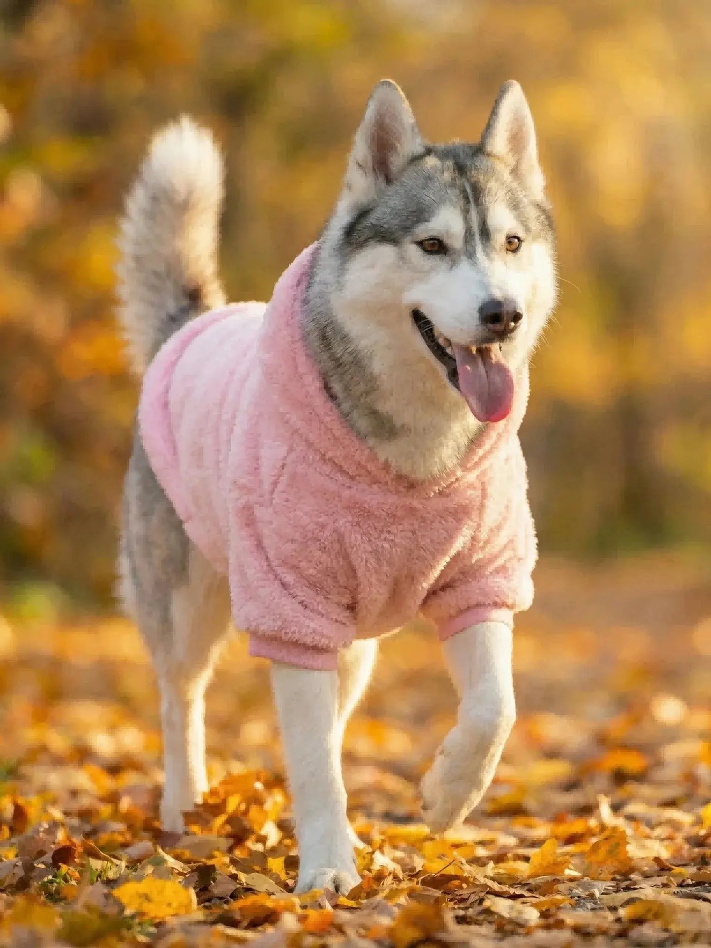 Winter Warm Pet Dog Clothes Soft Dog Plush Outdoor Coat Labrador Outdoor Golden Retriever Clothing With Hat