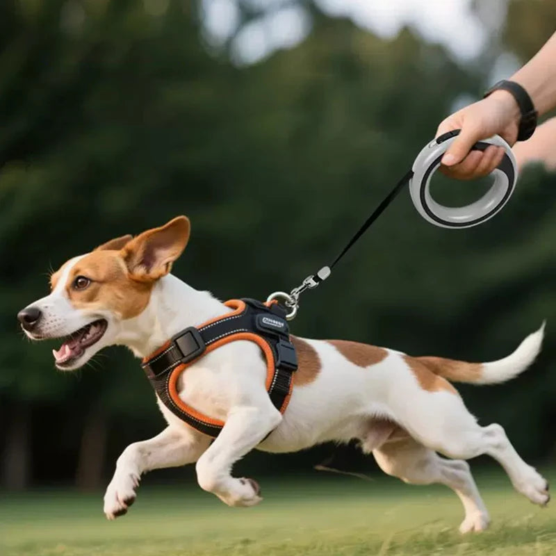 1 Piece 250cm/98.43in Automatic Retractable Dog Leash Outdoor Training Leash For Small Medium Dog Durable Puppy Lead Accessories