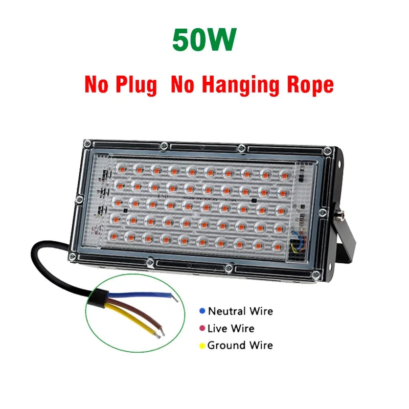 Full Spectrum LED Grow Lights 50/300W Plant Lamp Indoor Plants Phyto Lamp Greenhouse Hydroponic Plant Vegetable Growing Lamp