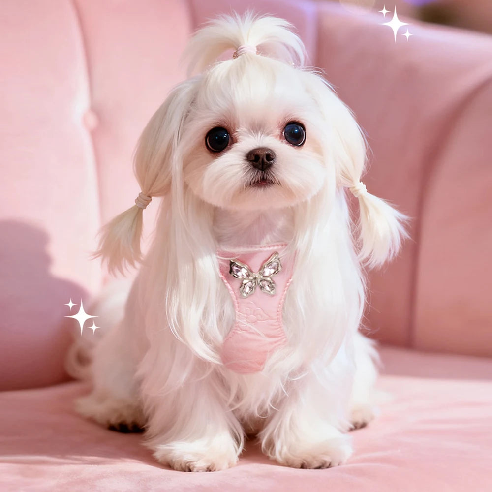 Luxury Dog Harness and Leash Set for Small Dogs, Elegant Mesh Vest Harness with Bow Tie, Perfect for Maltese Chihuahua Puppyl