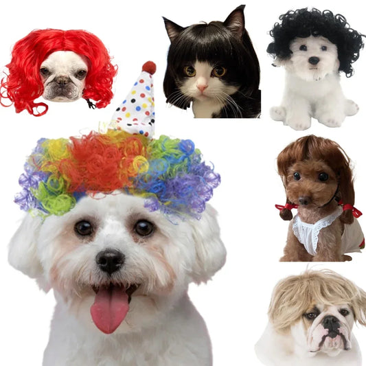 Funny Pet Cosplay Dog Wig Cat Grooming Supplies Fashion Headwear Halloween Curly Hair Straight Hair Cat Accessories Perros