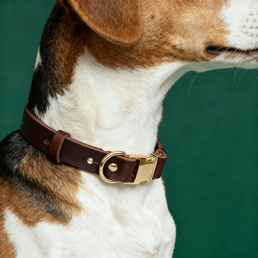 First-Layer Cowhide Dog Collar, 3 Sizes For Puppies/Small/Medium Dog, Soft Skin-Friendly Durable Outdoor Walking Dog Collar