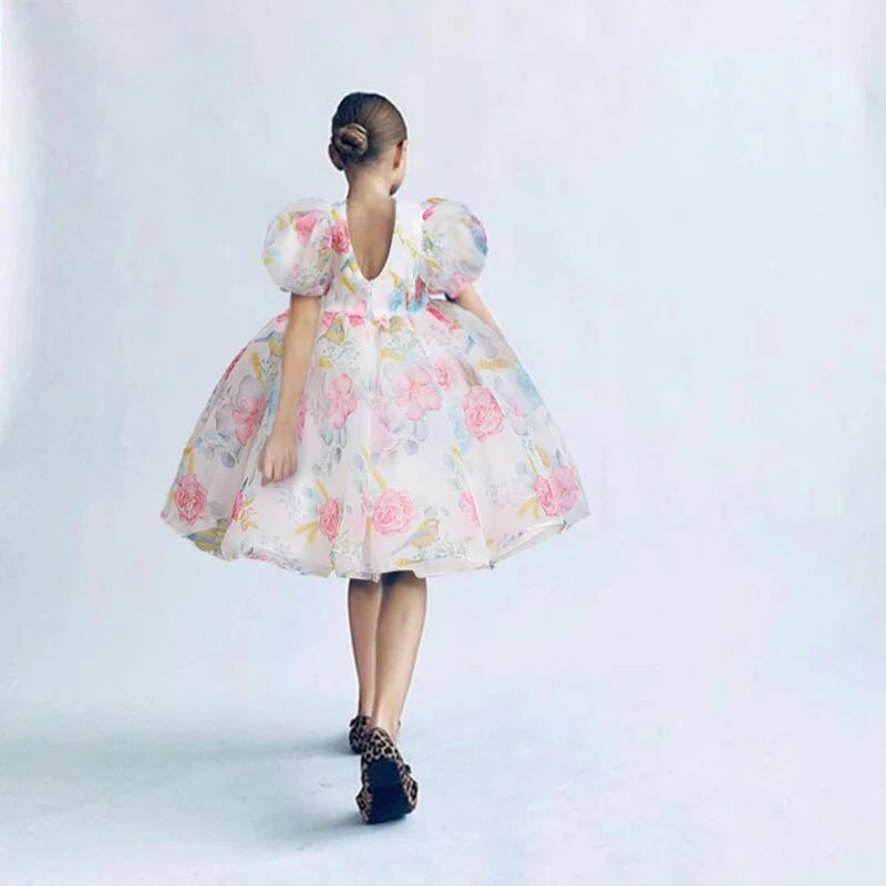 2 3 4 5 6 7 8 Years Puffy Sleeve Girls Dress Summer Princess Baby Dress Christmas New Costume Birthday Party Gift Kids Clothes