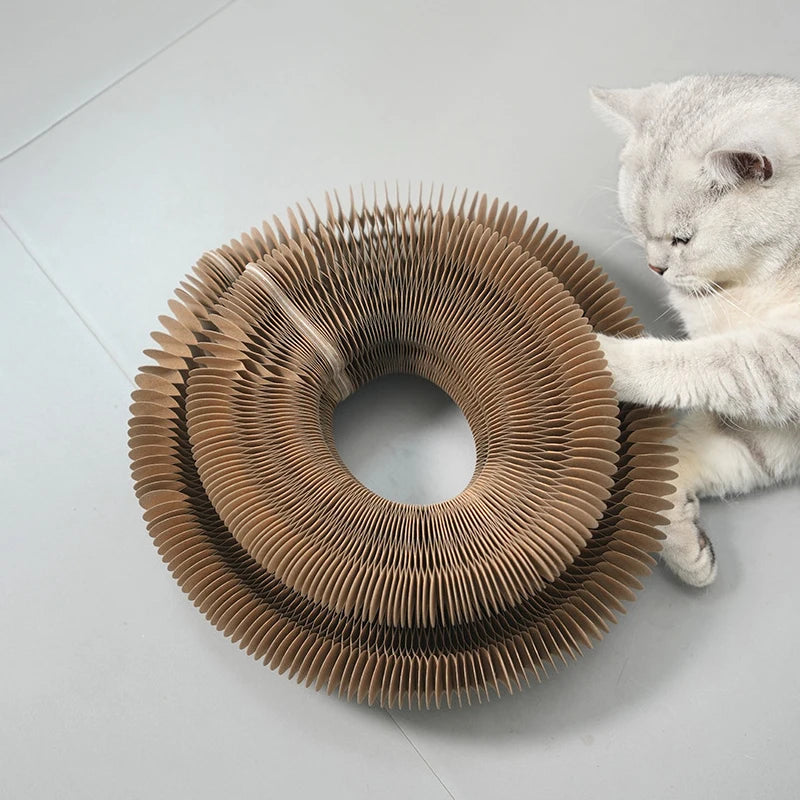 Cat Toy Magic Cat Scratch Organ Board  with Ball Cat Grinding Claw Cat Climbing Frame Kitten Round Corrugated Cat Scratching Toy
