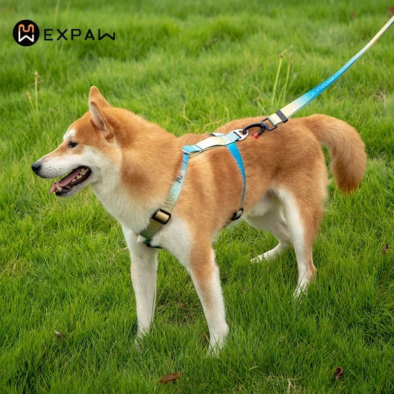 Adjustable Nylon Dog Harness Fashion Chest Vest No Pull Pet Puppy Harness for Small Medium Large Dogs Corgi Dog Supplies
