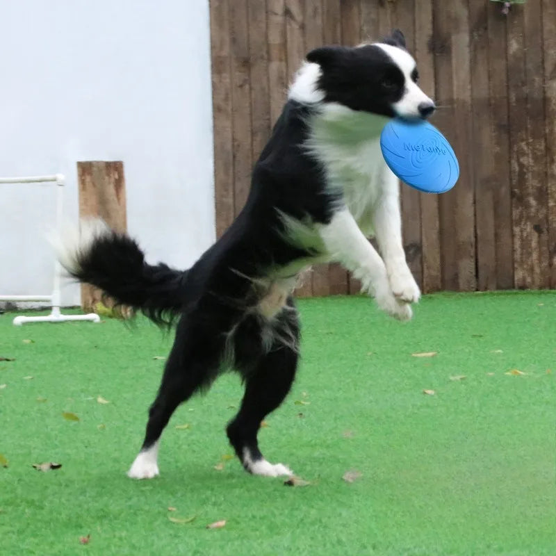 Dog Flying Saucer Interactive Funny Pet Cat Toy Dog Game Flying Discs Resistant Chew Puppy Training  Pet Dog Supplies