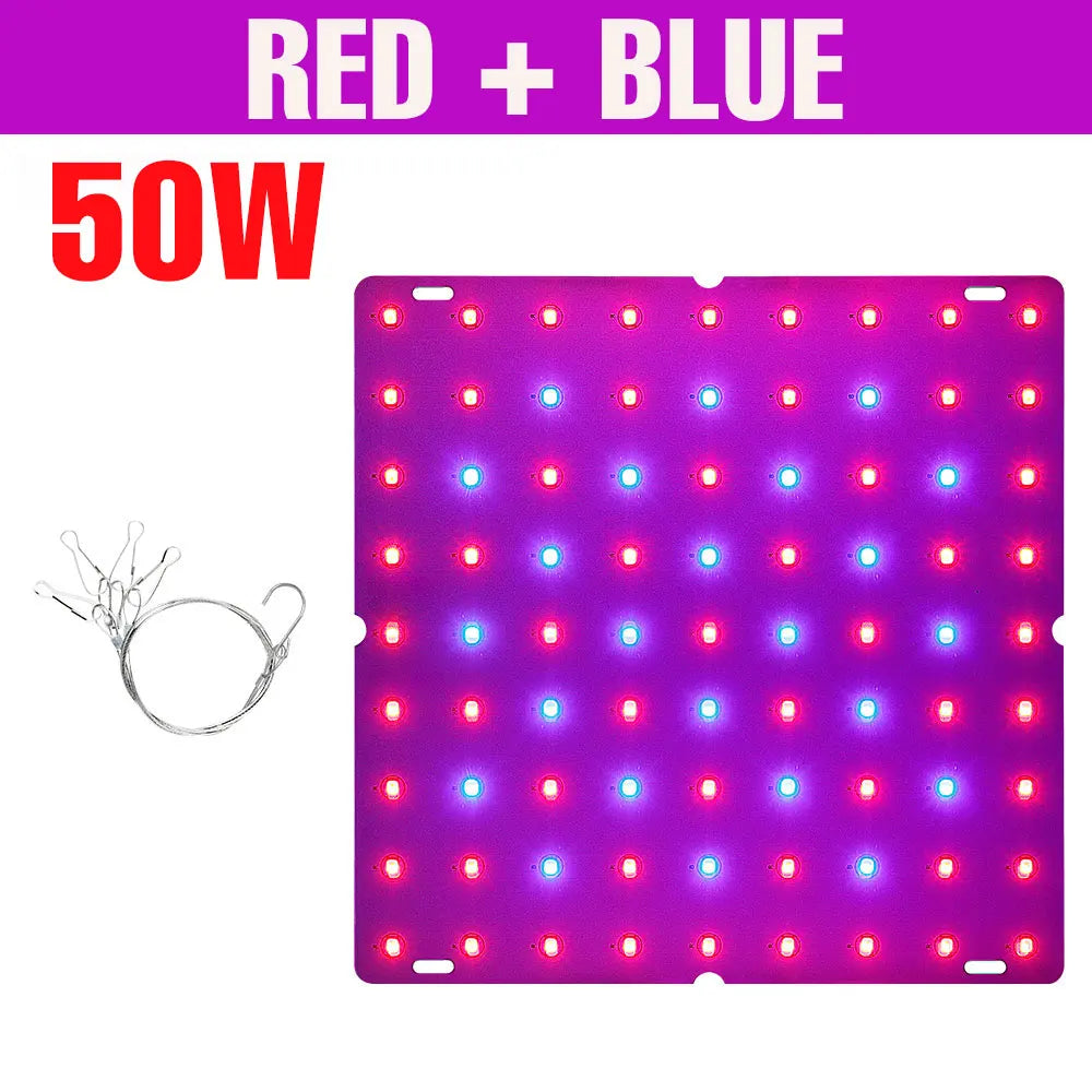 200W LED Grow Light Full Spectrum Quantum Board Plant Cultivation Lamp For Indoor Potted Flower Greenhouse Tent Tomato Vegetable