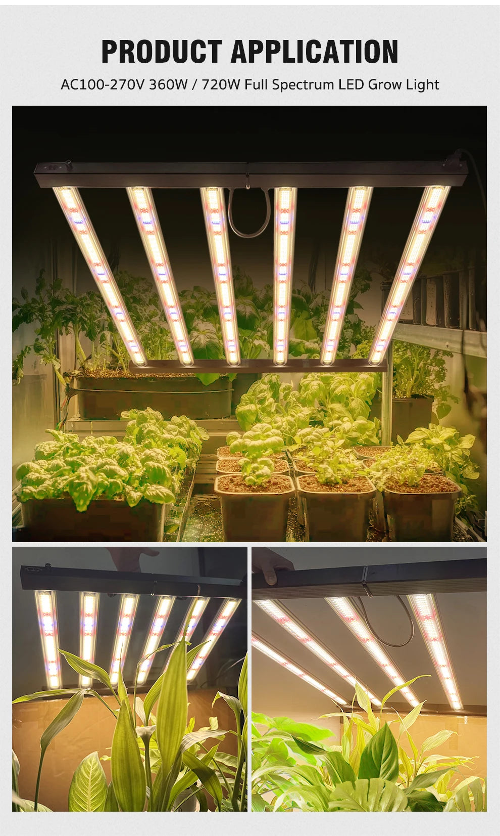 Full Spectrum LED Grow Light 360W 720W AC100-277V 660nm 730nm 395nm LM281B High PPFD Growth Lamp For Greenhouse Plants