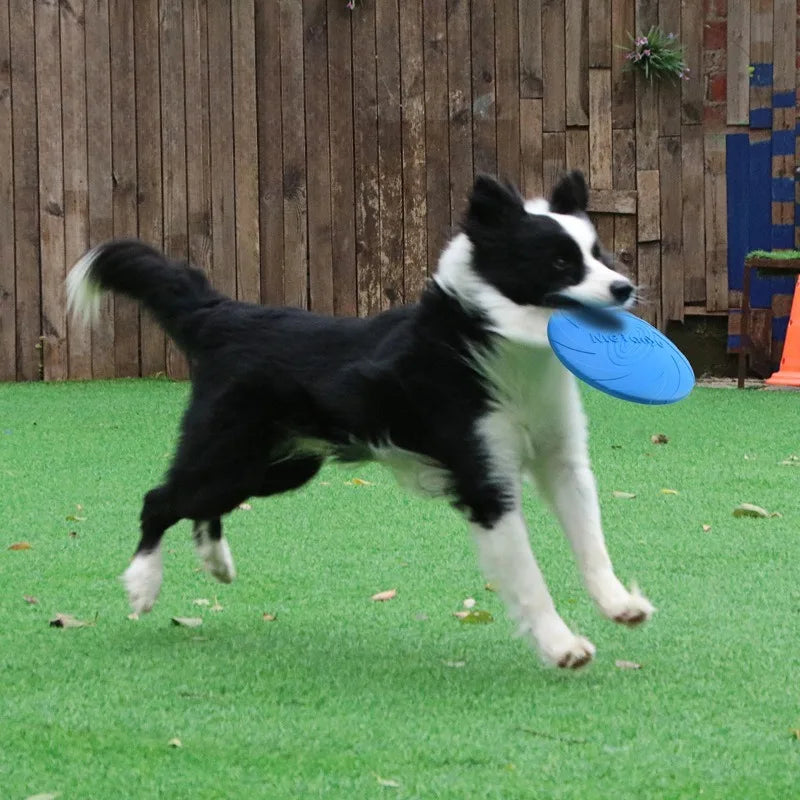 Dog Flying Saucer Interactive Funny Pet Cat Toy Dog Game Flying Discs Resistant Chew Puppy Training  Pet Dog Supplies