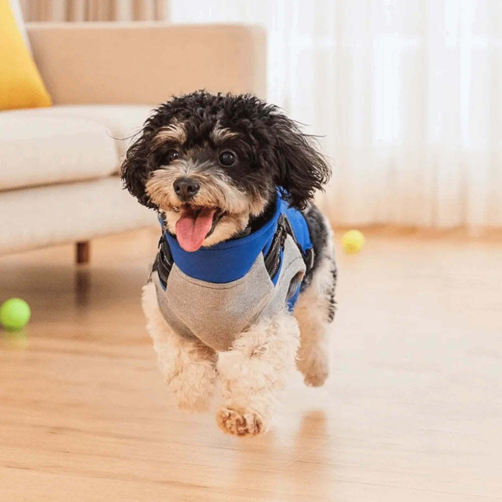 Waterproof Adjustable Dogs Down Clothes Thicken Warm Winter Dog Clothes Soft with Harness Dog Coat for Dogs Cats