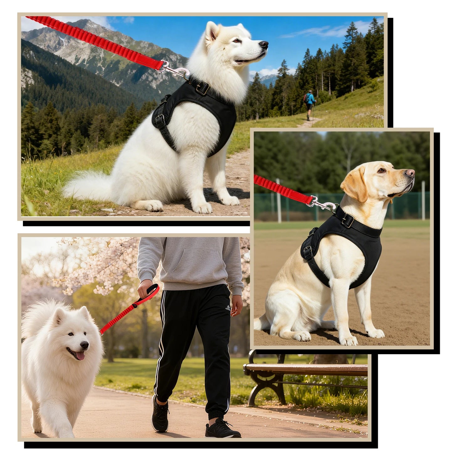 Hand Free Dog Leash for Pet Walking Running Jogging Adjustable Dog leash Waist Belt Chest Strap Traction Rope Dog Accessories