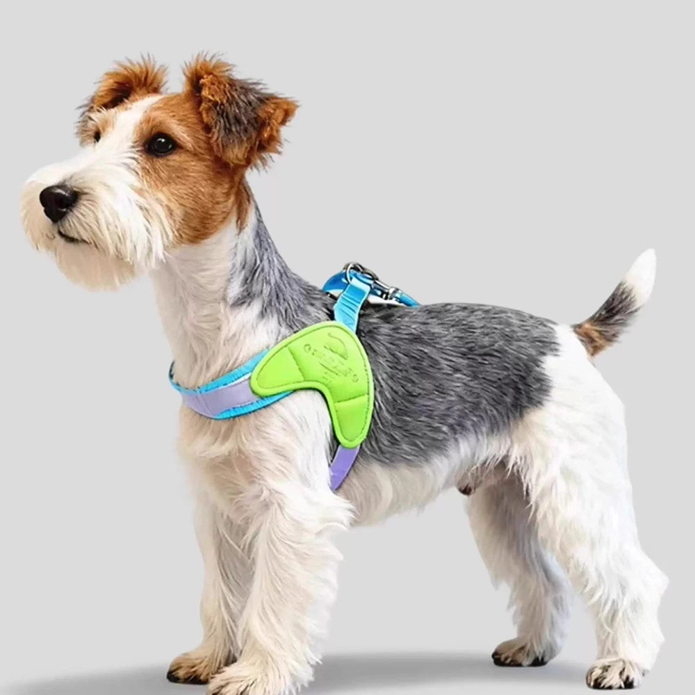 Y-shaped Dog Harness for Small Dogs Shiba Inu Puppy Chest Straps Macaron Color Matching Pet Harness Outdoor Products