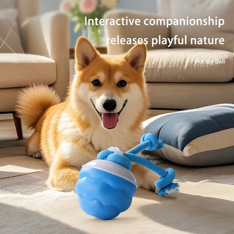 Smart Dog Toy Ball Electronic Interactive Pet Toy Moving Ball Rope USB Automatic Moving Bouncing for Puppy Chew Products