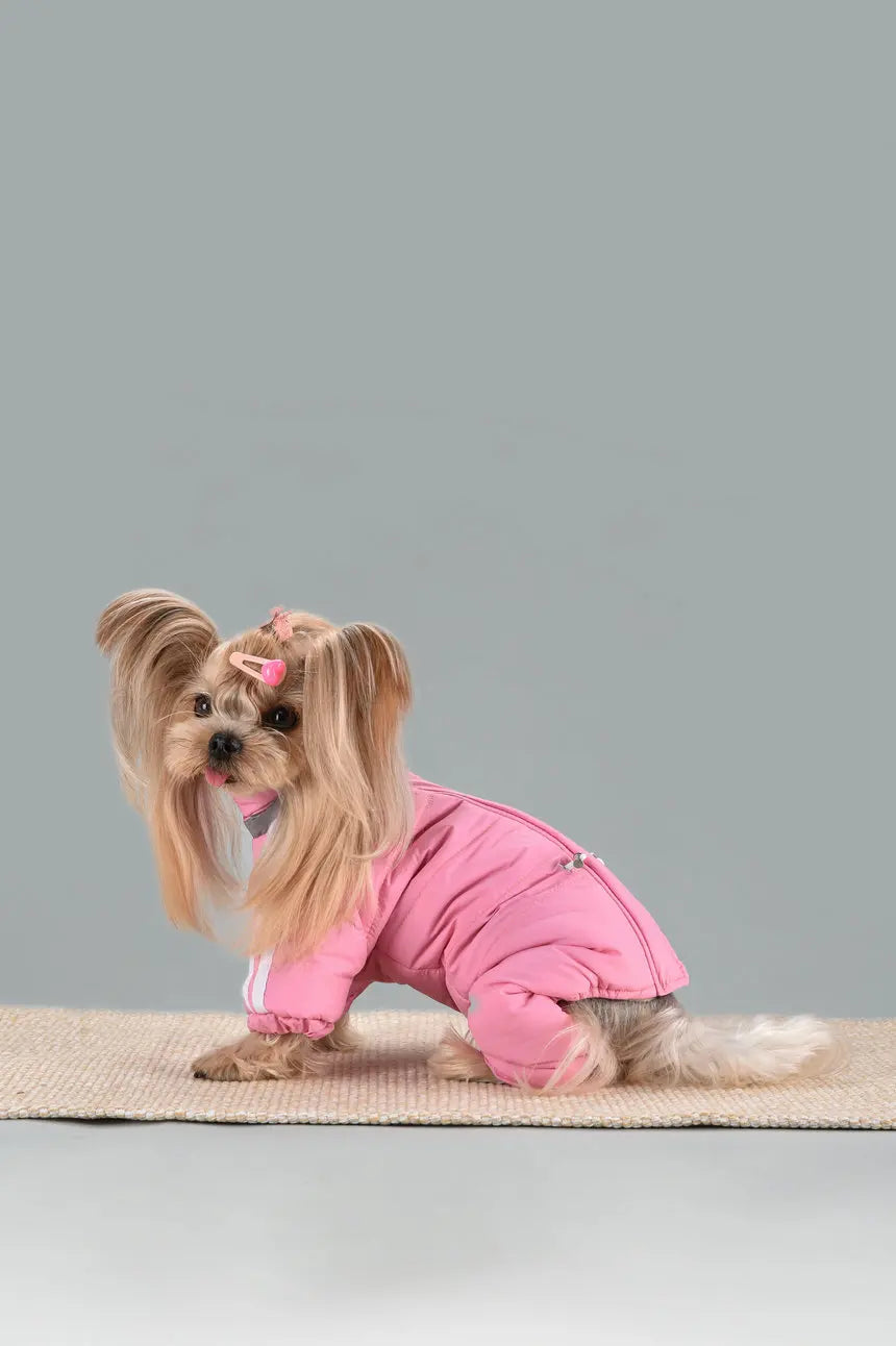 Dog Thick Warm Cotton Clothing Pet Outdoor Winter Small Medium Dog Padding Down Parkas Overalls Warm Puppy High Neck Jacket
