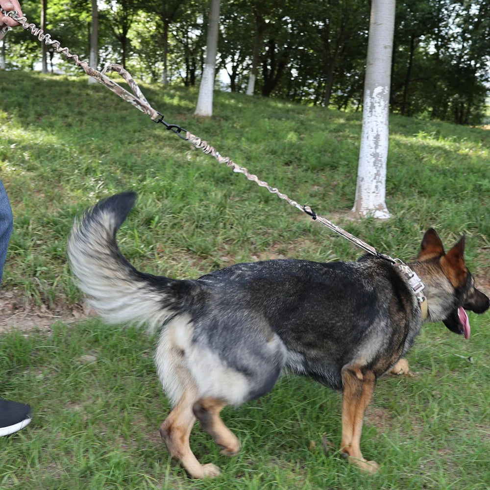 Tactical Dog Harness Adjustable Traning Dog Harness Leash Sets with Storage Bag for Large Dog Control Handle Cat Harness