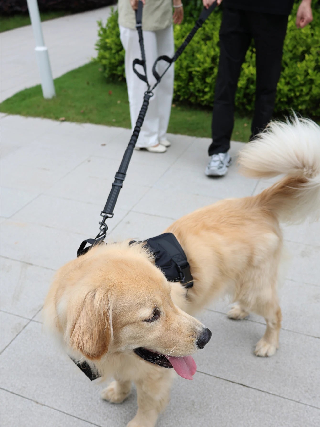Tactical Dog Harness Adjustable Traning Dog Harness Leash Sets with Storage Bag for Large Dog Control Handle Cat Harness