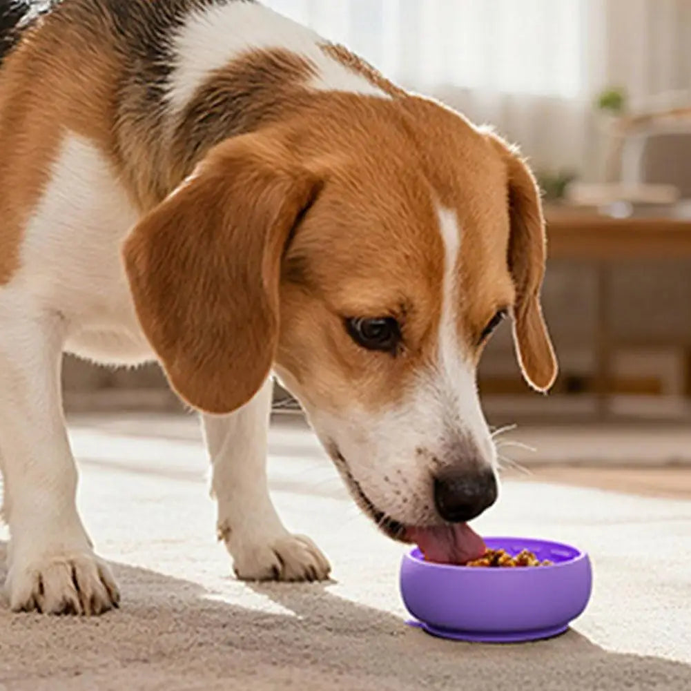 Unique Slow-feeding Reducing Dog's Overeating Bloating Dog Bowl Non-slip Anti-spill Pet Silicone Tableware Portable Feeding Bowl