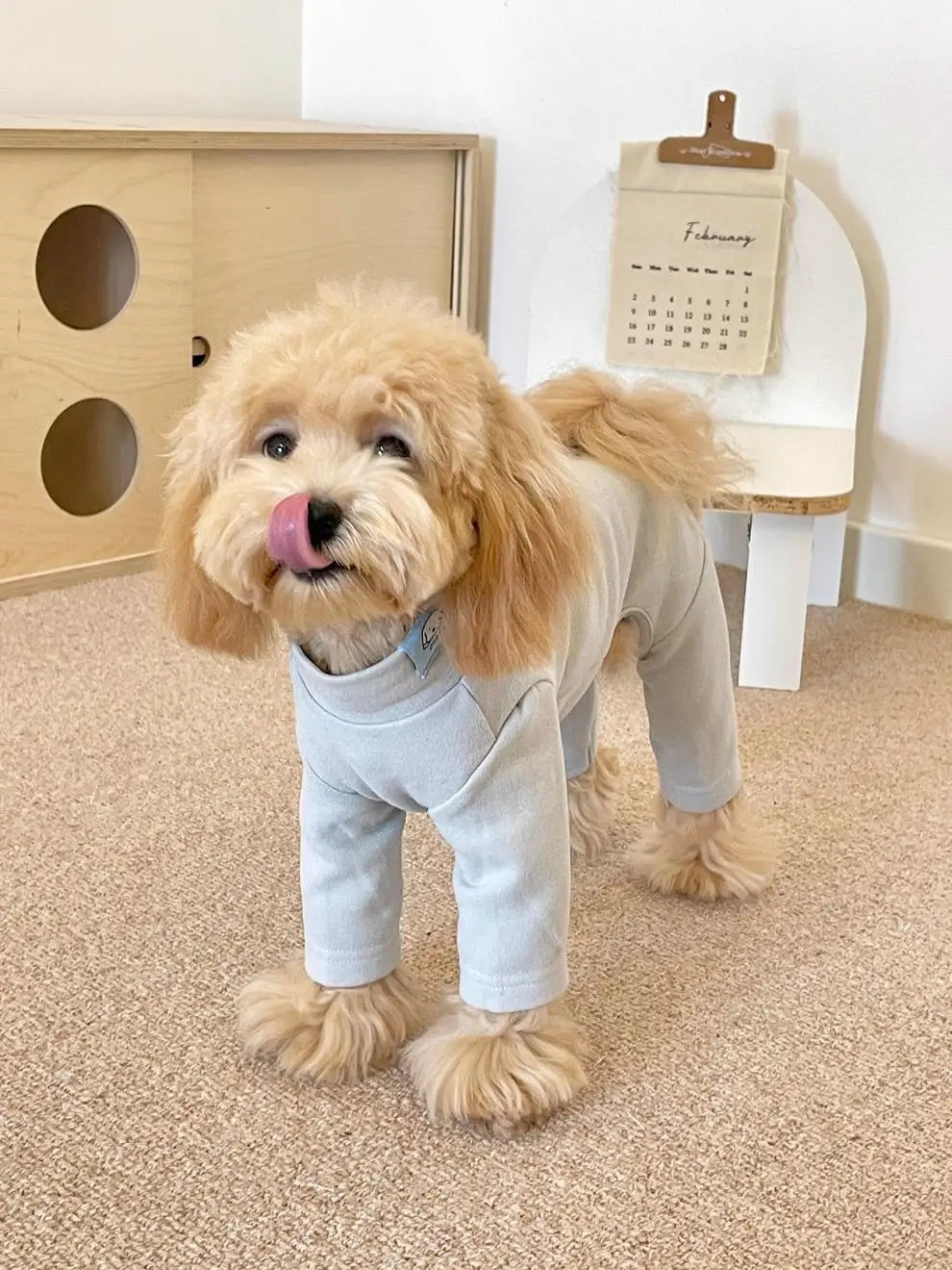 Elastic Pet Jumpsuit Four Legged Pants For Small Medium Dogs Cream Color Cozy Home Base Shirt Winter Warm Dog Clothes