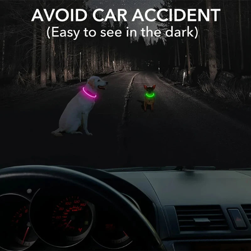 Led Luminous Dog Collar Rechargeable Cat Collar 3 Modes Anti-lost Night Collar Pet Supplies Suitable For Large Medium Small Dogs