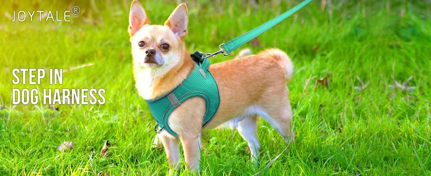 Ultimate Comfort Reflective Step-In Dog Harness and Leash Set - Soft Padded Breathable Mesh Vest,Ensure Safe Walking