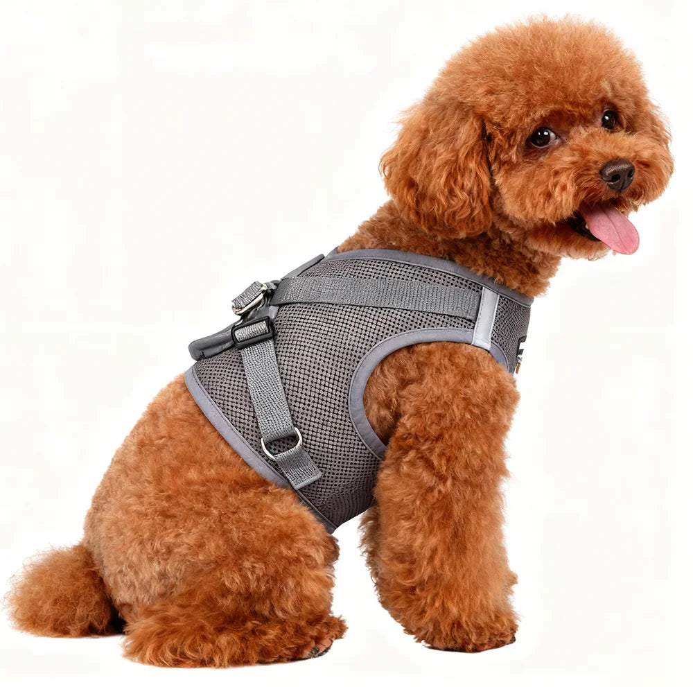 Dog Harness Vest, Soft Vest Harness Step-in No Choke No Pull Walking Training for Small and Medium Dog