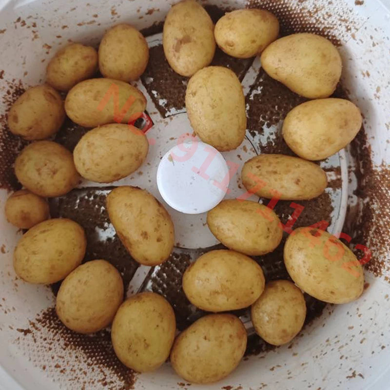 Home Electric Potato Peeling Portable Potato Peeler Vegetable Dehydrator Kitchen Tool EU Plug US Plug