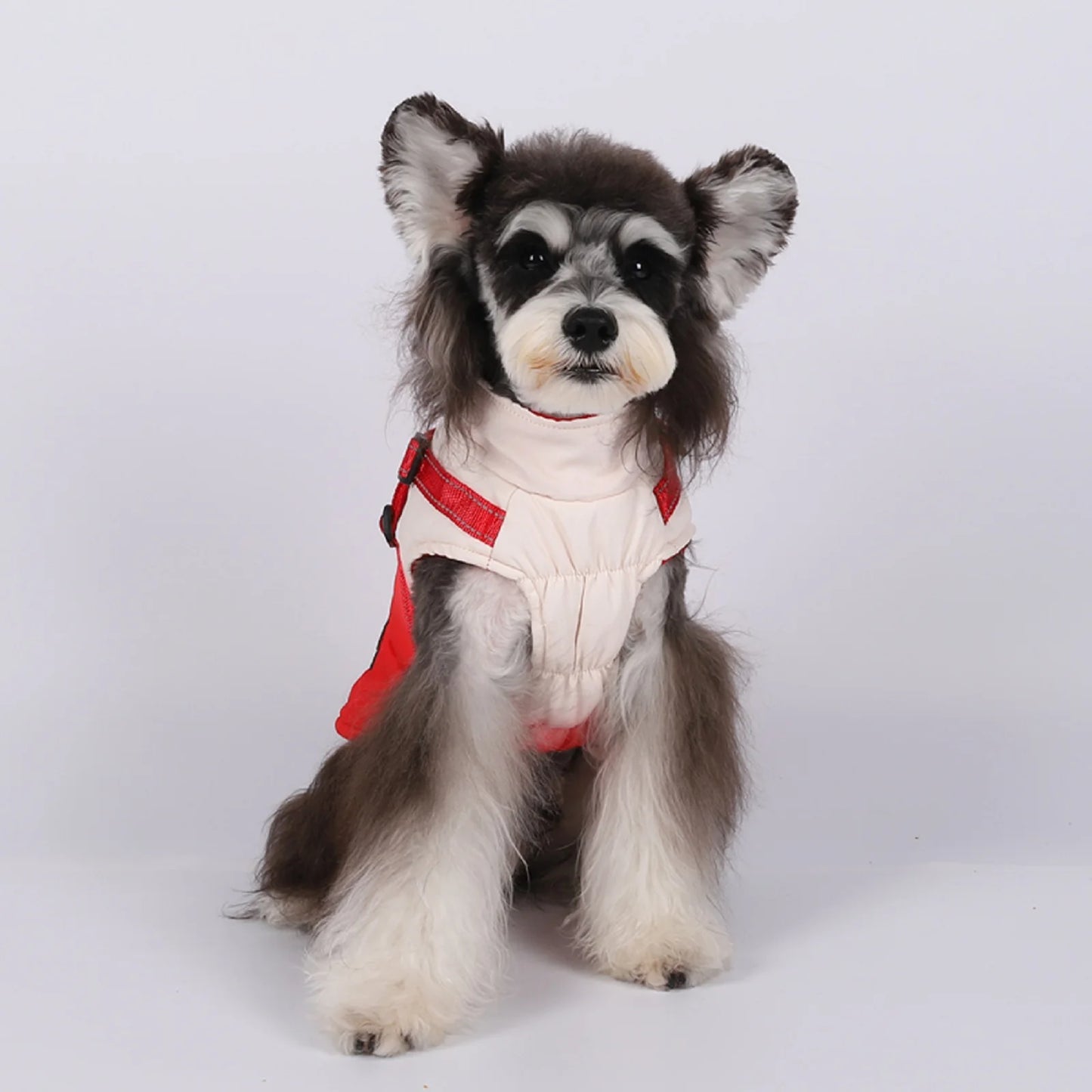 Waterproof Dog Jacket With Harness Winter Warm Pet Dog Clothes For Small Big Dogs Coat Chihuahua Clothing French Bulldog Outfits