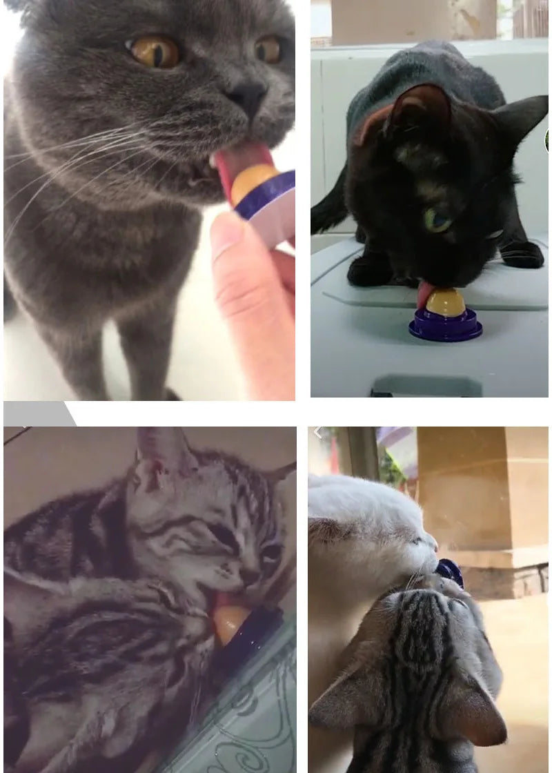 1~10PCS Cat Candy Entertainment Innovative Fun Snacks For Cats Viral Video Buzzing Fun Lickable Unique Appealing Delicious