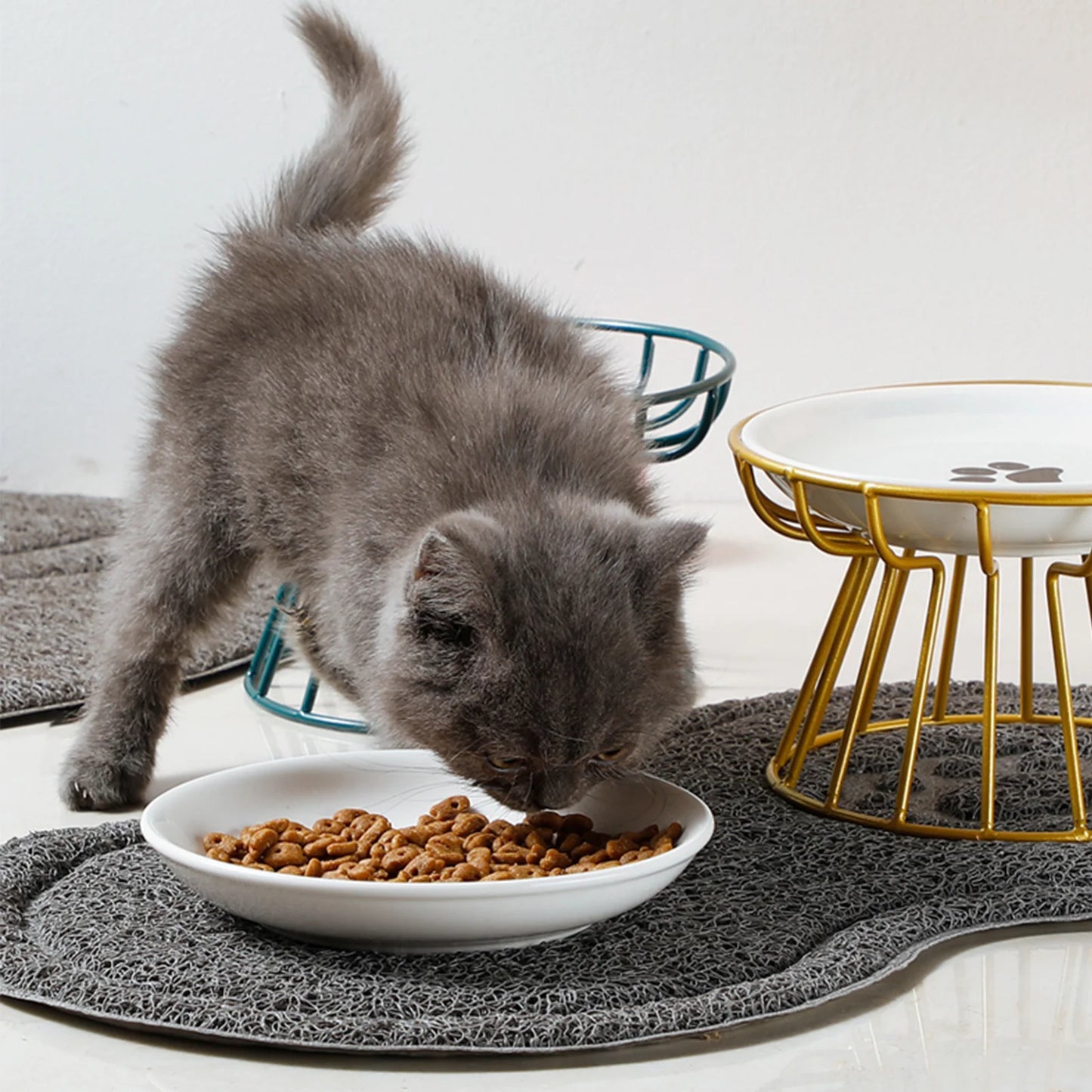 1pcs Ceramic Cat Food Bowl Wide  Safe Pets Water Food Bowls Non Slip Shallow Dish for Kitten Puppy Food Water Feeding