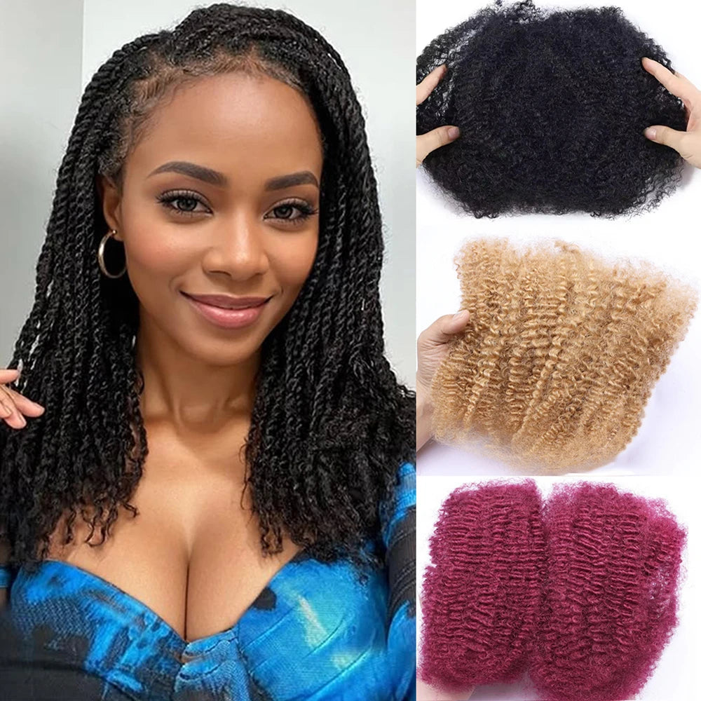 Brazilian Hair Afro Kinky Curly Wave 100% Human Hair Bulk For Braiding Twists Hair For Micro Twist Afro Kinky Hair Extension
